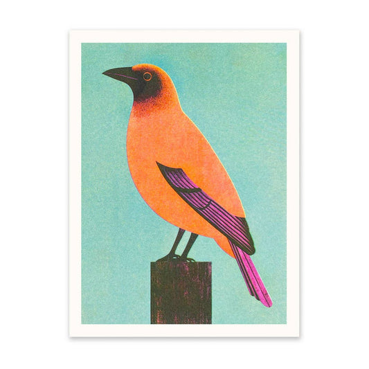 Mid Century | Orange Bird | A5 Risograph Print
