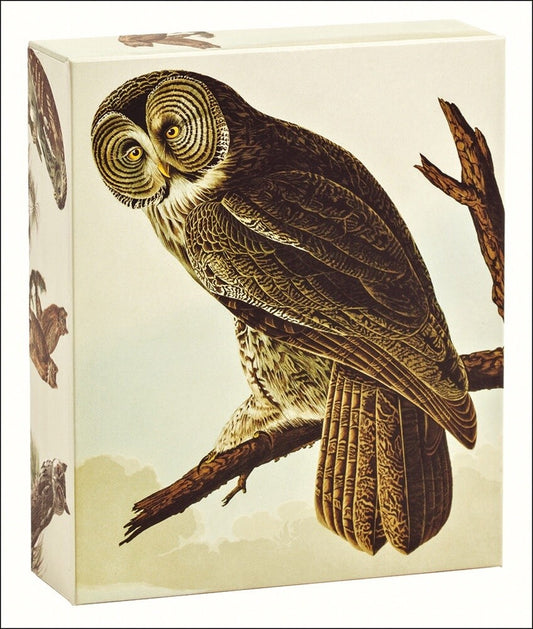 Audubon Owls Quicknotes