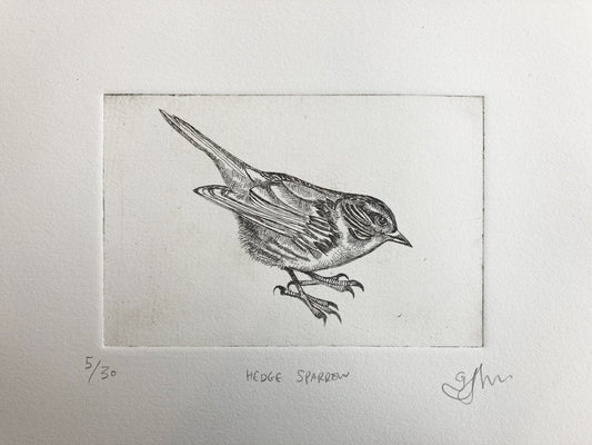 ‘Hedge Sparrow’ Copper plate etching on Fabriano Artistico cotton paper