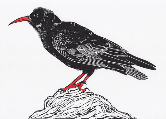 ‘Cornish Chough’ Linocut print with hand colouring on pure white silk Japanese paper