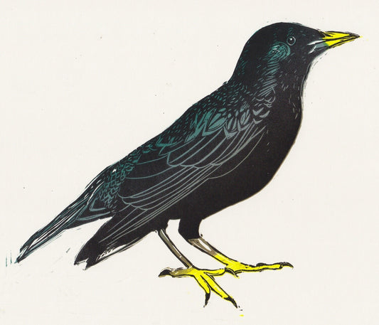 ‘Starling’ Reduction linocut print on Okawara Japanese paper